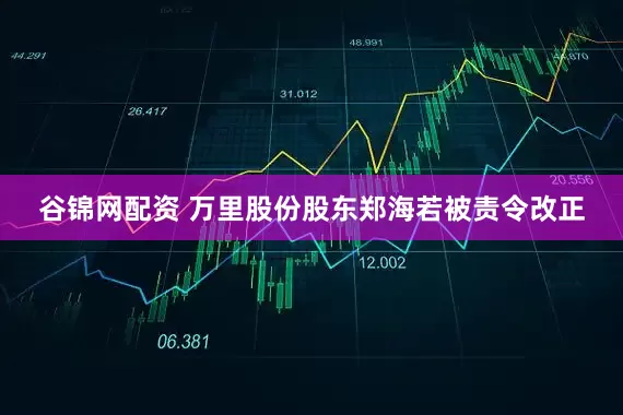 谷锦网配资 万里股份股东郑海若被责令改正