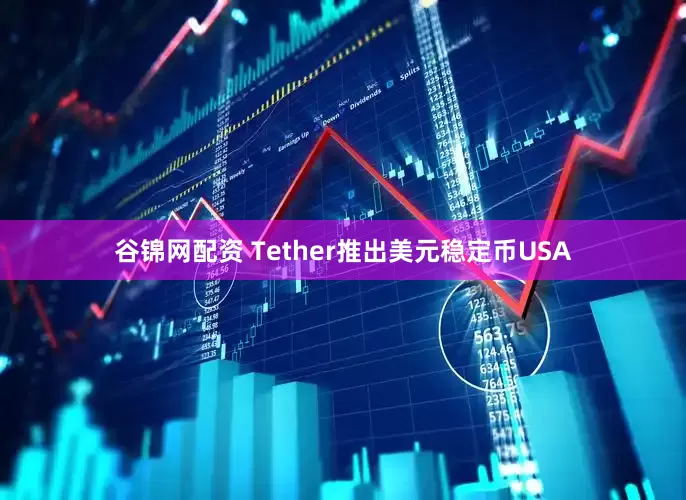 谷锦网配资 Tether推出美元稳定币USA